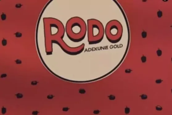 Adekunle Gold – Rodo