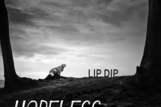 ALBUM: Lip Dip – Hopeless