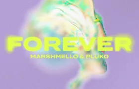 Marshmello – Forever Ft. Pluko