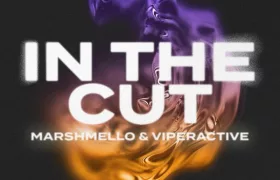 Download Marshmello – In The Cut Ft. Viperactive Mp3